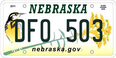 NE license plate DFO503