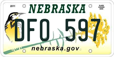 NE license plate DFO597
