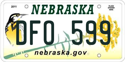 NE license plate DFO599