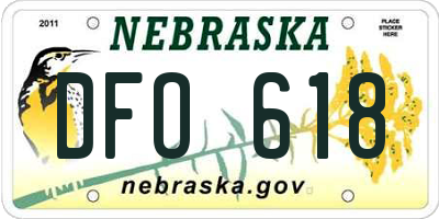 NE license plate DFO618