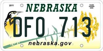 NE license plate DFO713