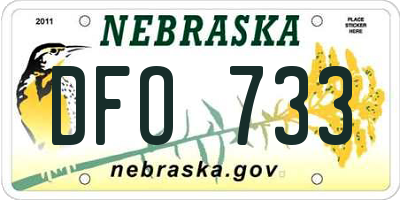 NE license plate DFO733