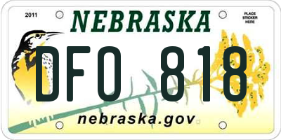 NE license plate DFO818
