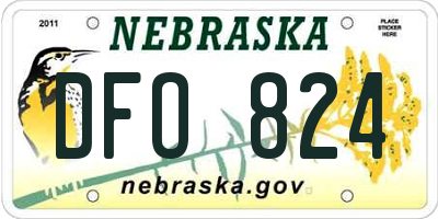 NE license plate DFO824