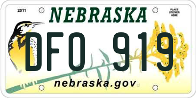 NE license plate DFO919