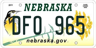 NE license plate DFO965