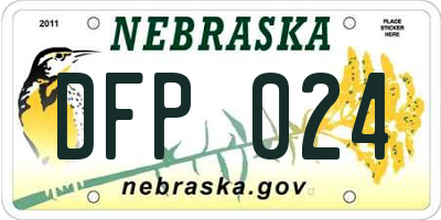 NE license plate DFP024