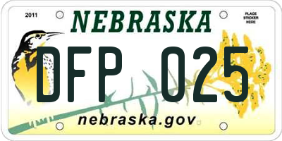 NE license plate DFP025