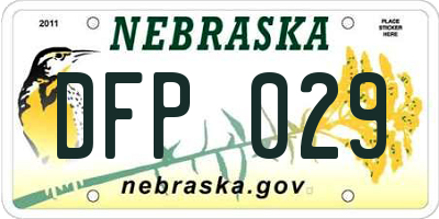 NE license plate DFP029
