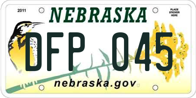 NE license plate DFP045