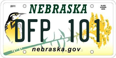 NE license plate DFP101