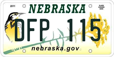 NE license plate DFP115