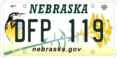 NE license plate DFP119