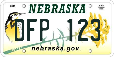 NE license plate DFP123