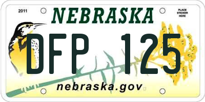 NE license plate DFP125