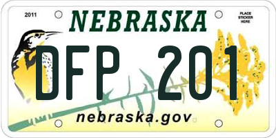 NE license plate DFP201