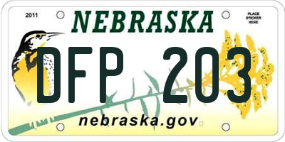 NE license plate DFP203