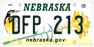 NE license plate DFP213
