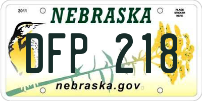 NE license plate DFP218