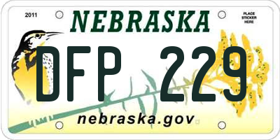 NE license plate DFP229