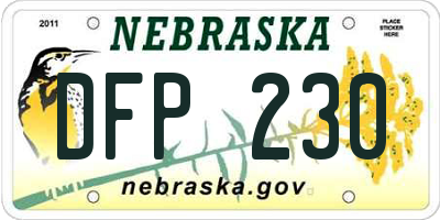 NE license plate DFP230