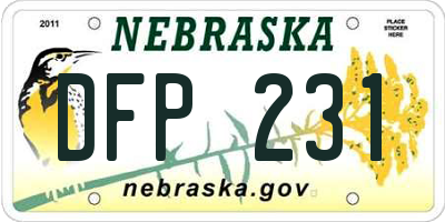 NE license plate DFP231