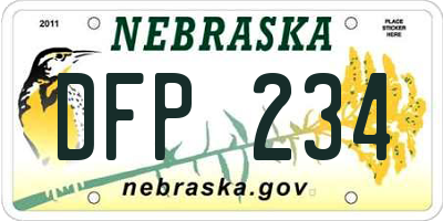 NE license plate DFP234