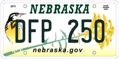 NE license plate DFP250