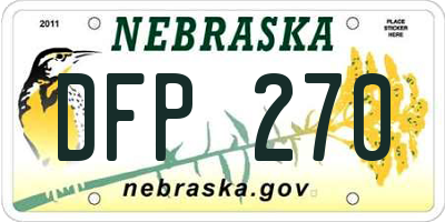 NE license plate DFP270