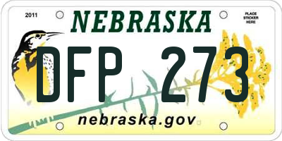 NE license plate DFP273