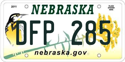 NE license plate DFP285