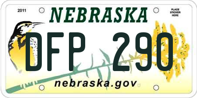 NE license plate DFP290
