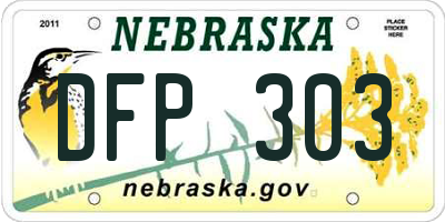 NE license plate DFP303