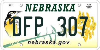 NE license plate DFP307