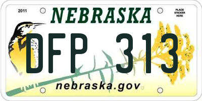 NE license plate DFP313