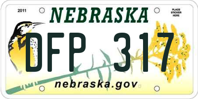 NE license plate DFP317