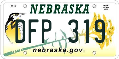 NE license plate DFP319