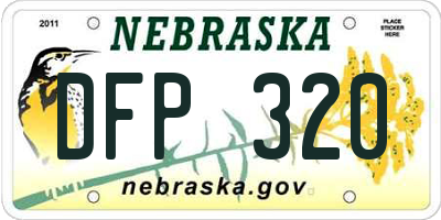 NE license plate DFP320