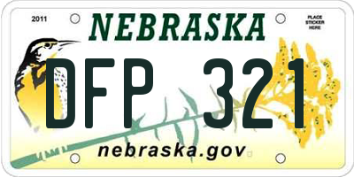NE license plate DFP321