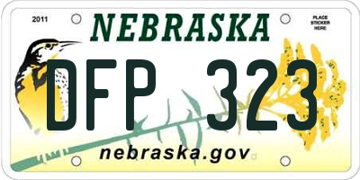 NE license plate DFP323