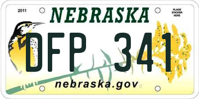 NE license plate DFP341
