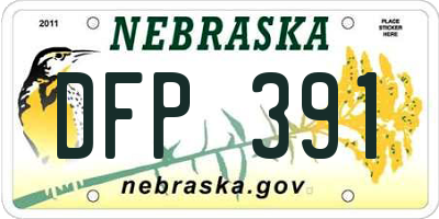 NE license plate DFP391