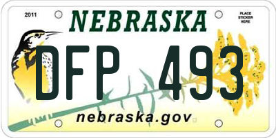 NE license plate DFP493