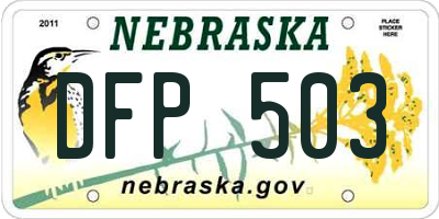 NE license plate DFP503