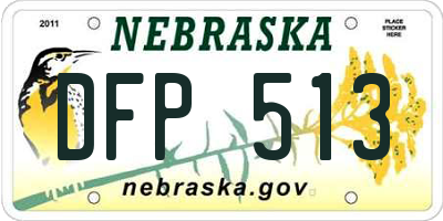 NE license plate DFP513