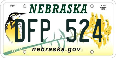 NE license plate DFP524