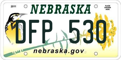 NE license plate DFP530