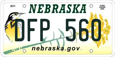 NE license plate DFP560