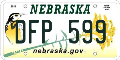 NE license plate DFP599