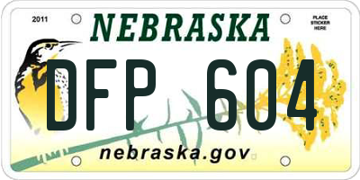 NE license plate DFP604